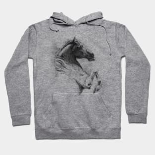 Horse Hoodie